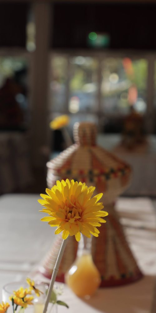 img 0484